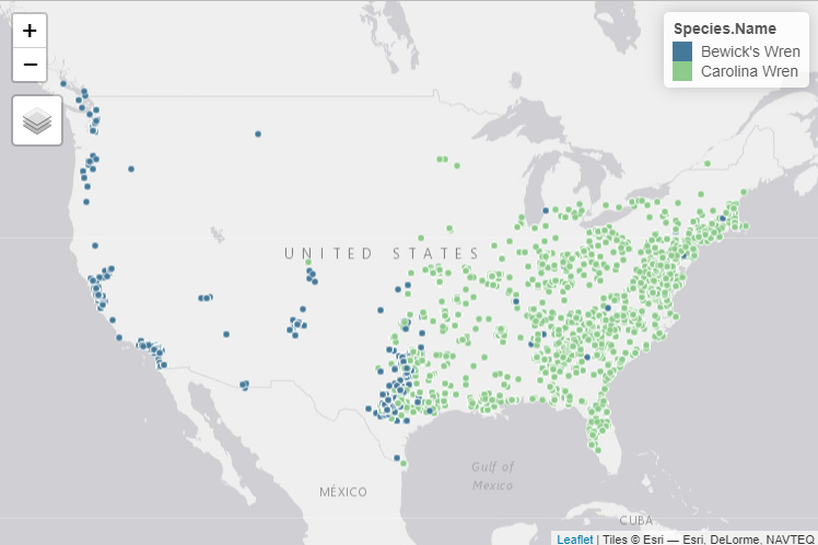 Map of the United States overlayed with points representing Bewick’s Wren (blue) and Carolina Wren (green) nest locations.